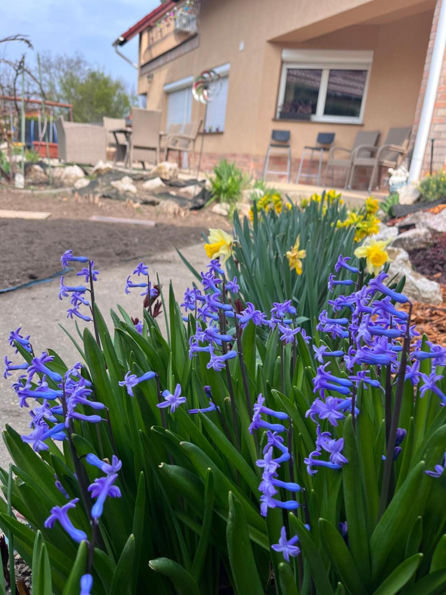 Garden Villa บูดาเปสต์ ภายนอก รูปภาพ